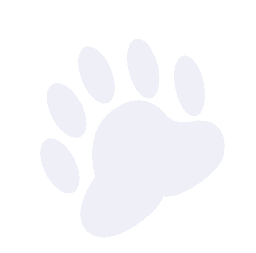 Decorative paw-shaped background graphic