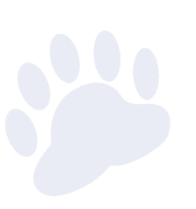 Decorative full paw print background graphic